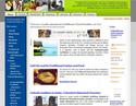 websites_for_sale.php?i=999969903latinguides-homepage.jpg